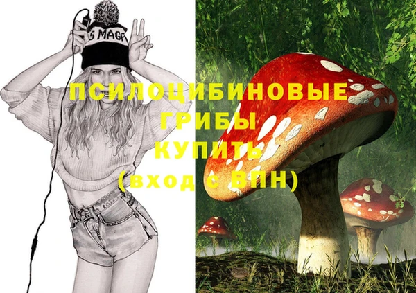 apvp Магас
