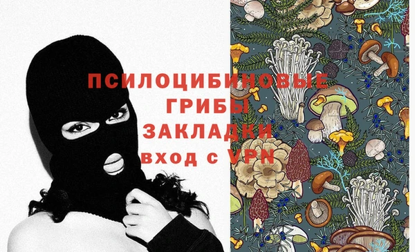 стафф Магадан