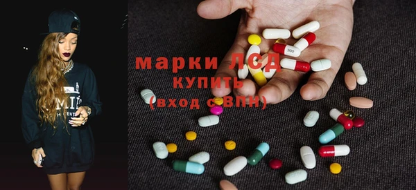 apvp Магас