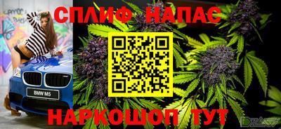 прущие грибы Ливны