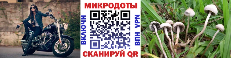 Галлюциногенные грибы MAGIC MUSHROOMS  Петровск 