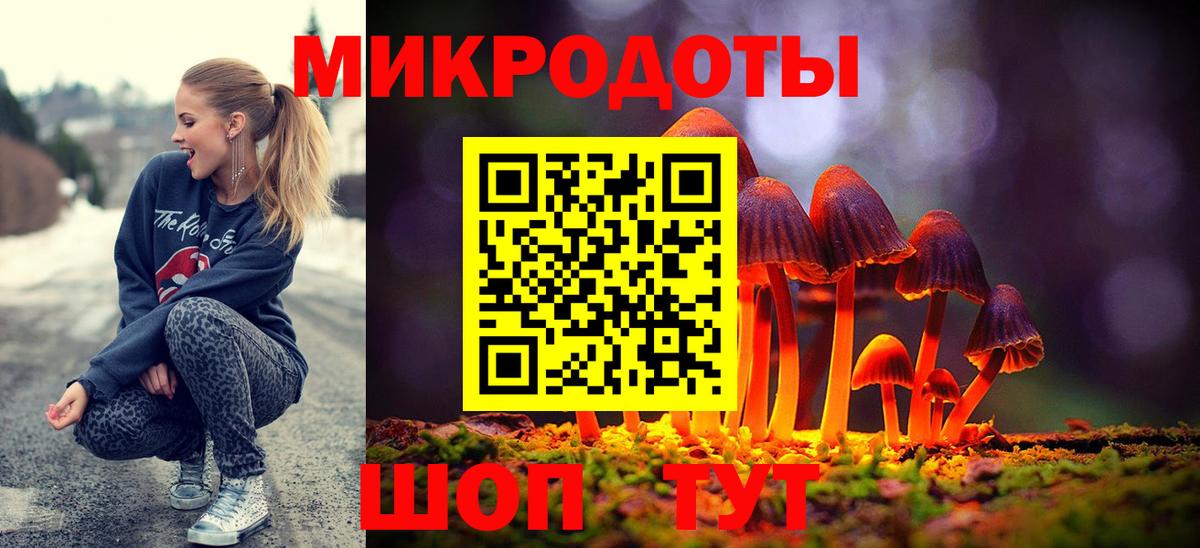 Галлюциногенные грибы Psilocybe Петровск